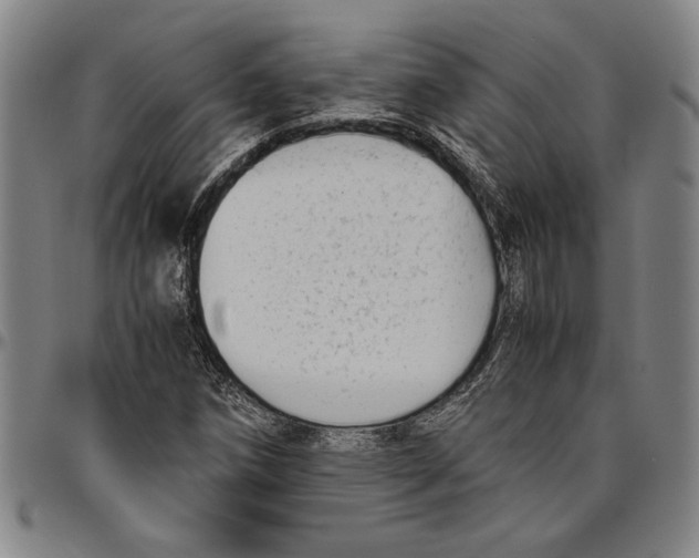 X0000096461258200802211117
