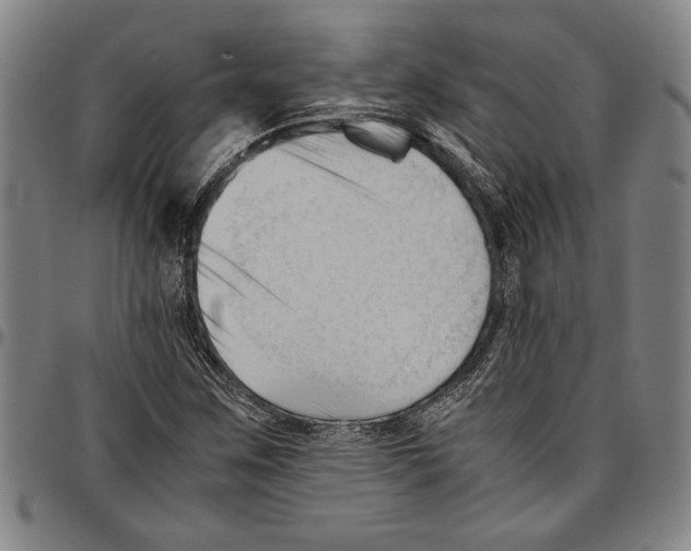 X0000096461259200802211117