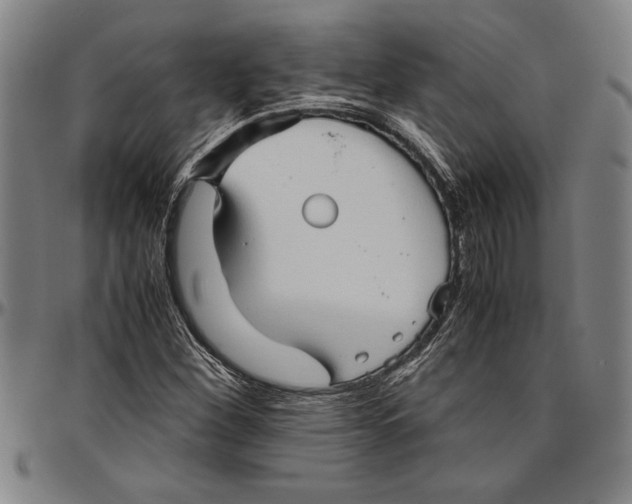 X0000096461260200802211117