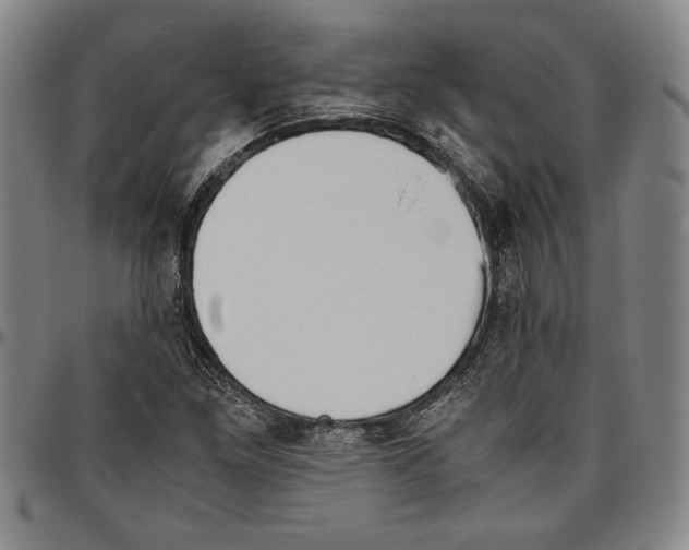 X0000096461261200802211117