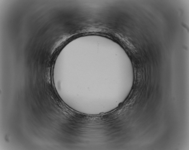 X0000096461262200802211117