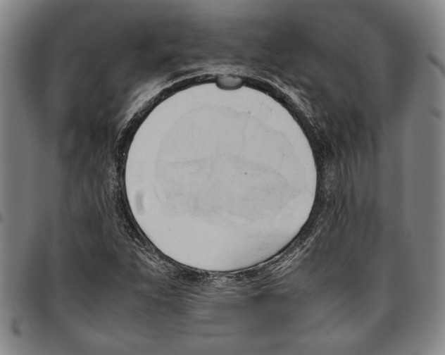 X0000096461263200802211117
