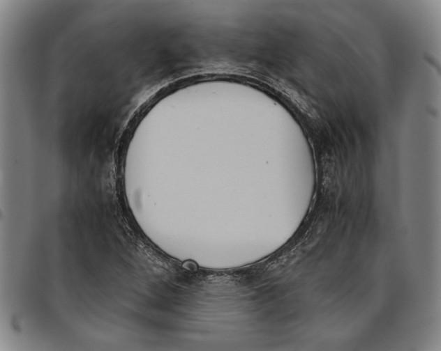 X0000096461264200802211117