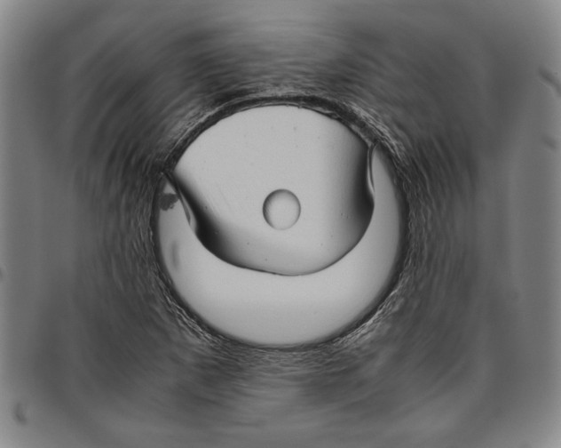 X0000096461265200802211117