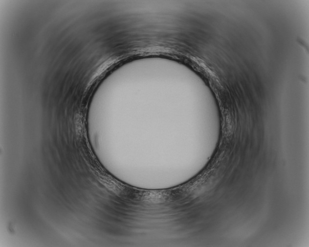 X0000096461266200802211117