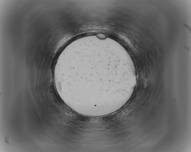 X0000096461267200802211117