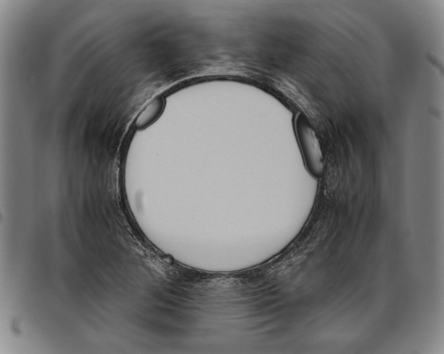 X0000096461268200802211117