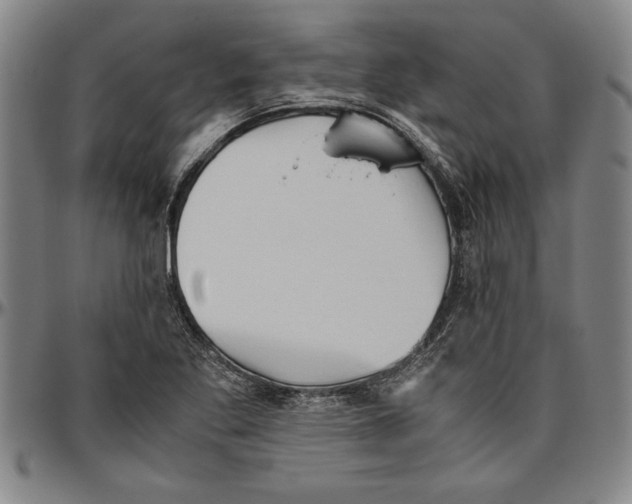 X0000096461269200802211117