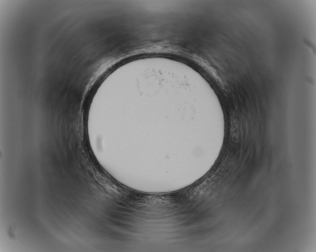 X0000096461270200802211117