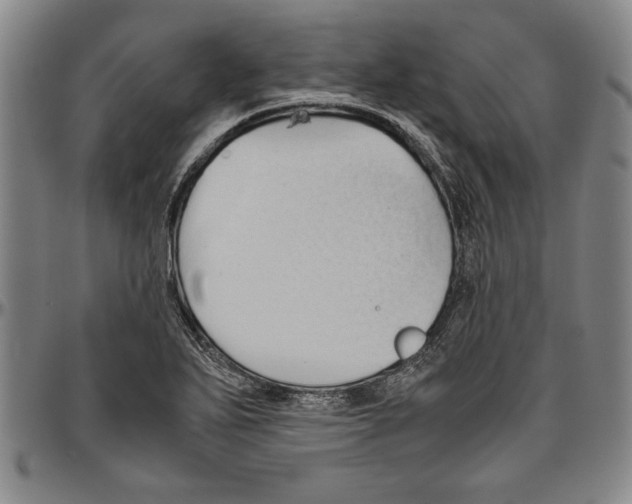 X0000096461271200802211117