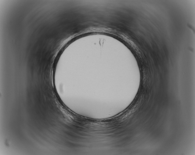 X0000096461272200802211117