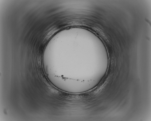 X0000096461273200802211117