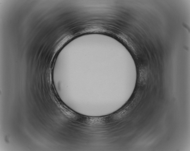 X0000096461274200802211117