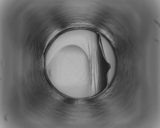 X0000096461275200802211117