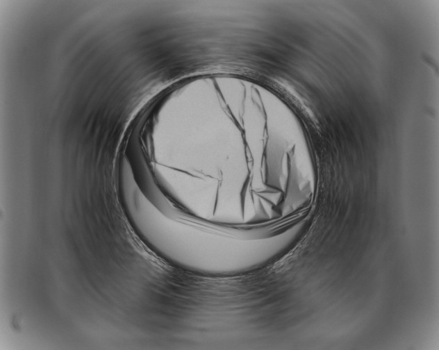 X0000096461276200802211117