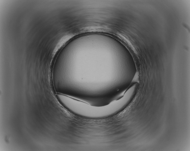 X0000096461277200802211117