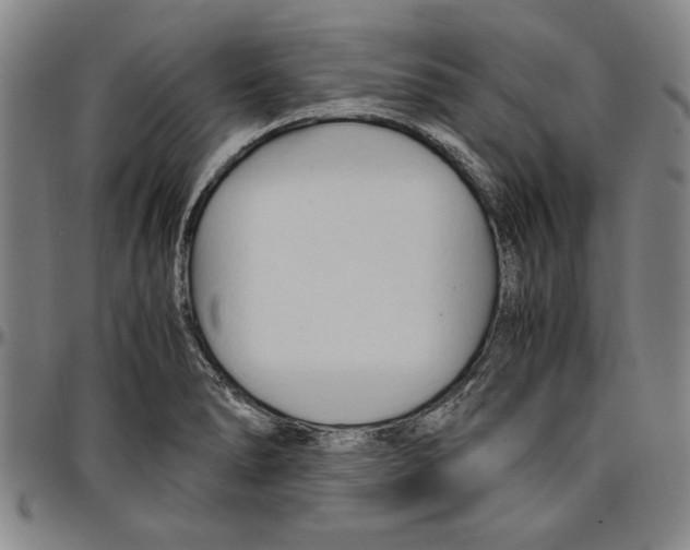 X0000096461278200802211117