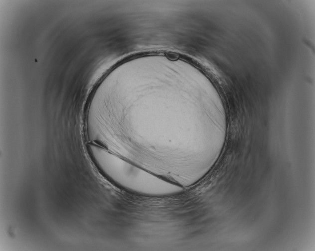 X0000096461279200802211117