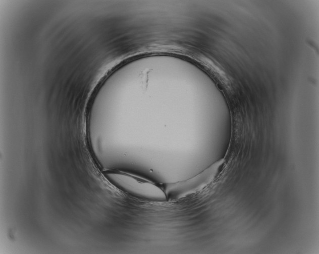 X0000096461280200802211117