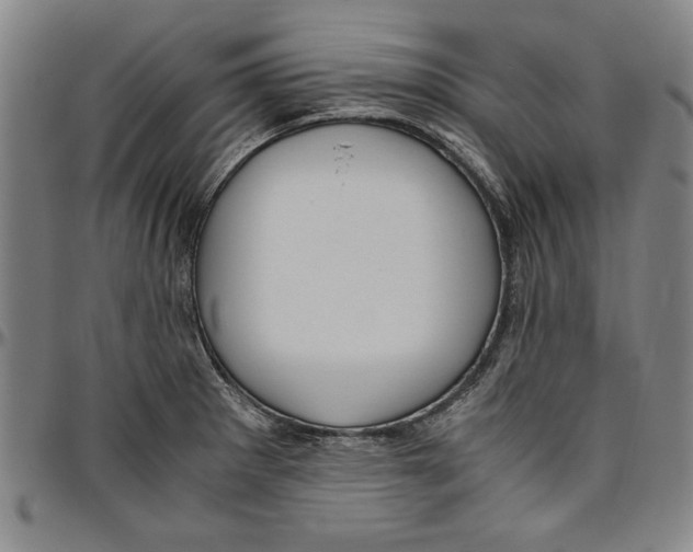 X0000096461281200802211117