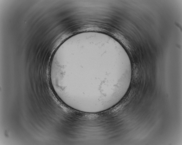 X0000096461282200802211117