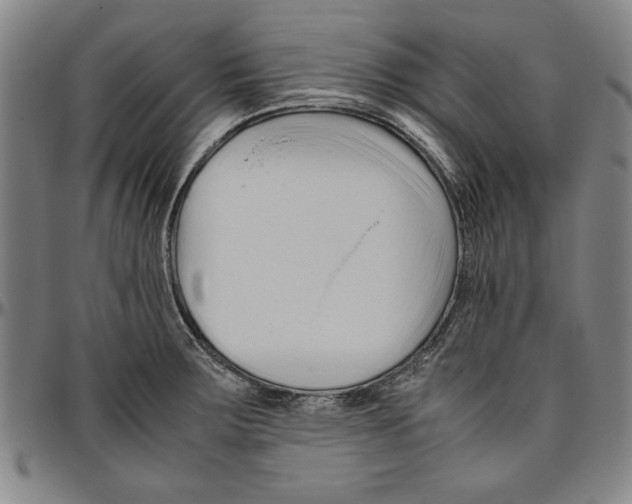 X0000096461283200802211117