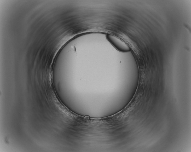 X0000096461284200802211117