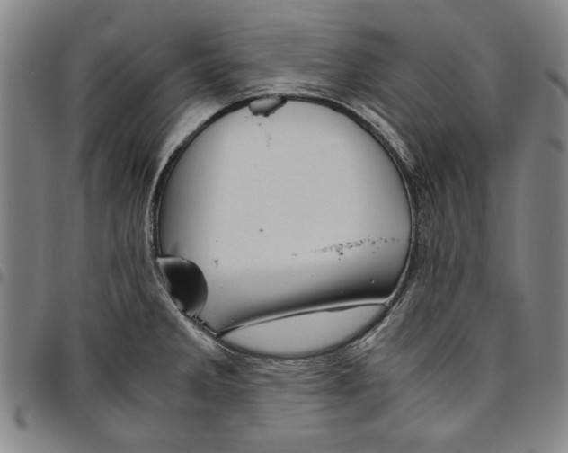 X0000096461285200802211117