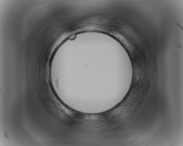 X0000096461286200802211117