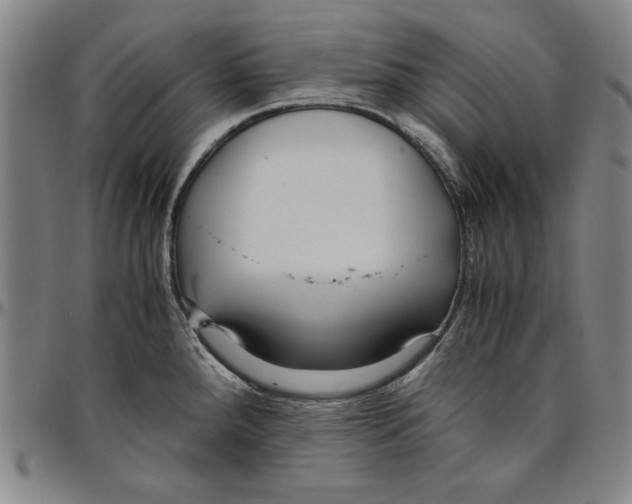X0000096461288200802211117