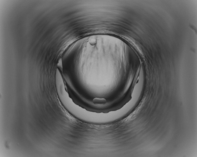 X0000096461289200802211117
