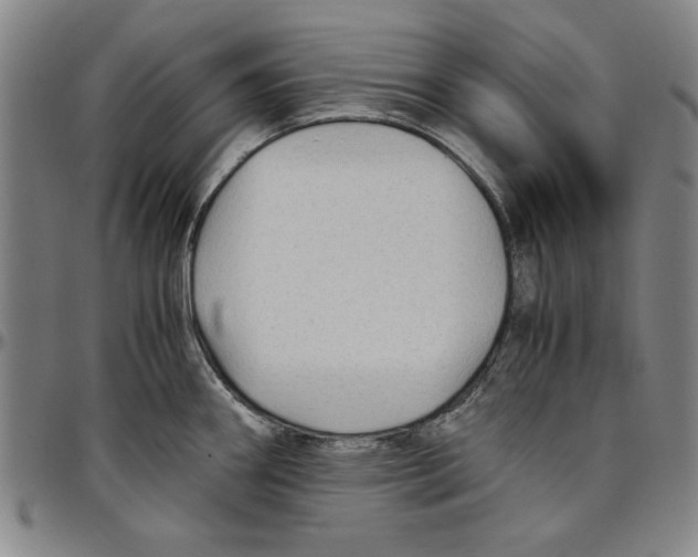 X0000096461290200802211117