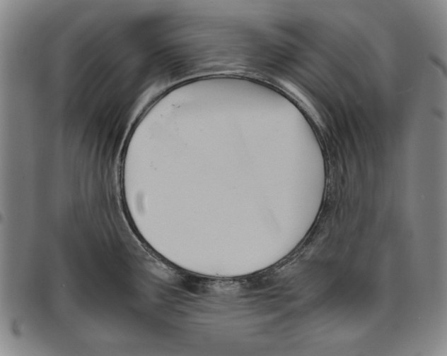 X0000096461291200802211117