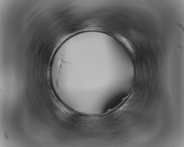 X0000096461292200802211117