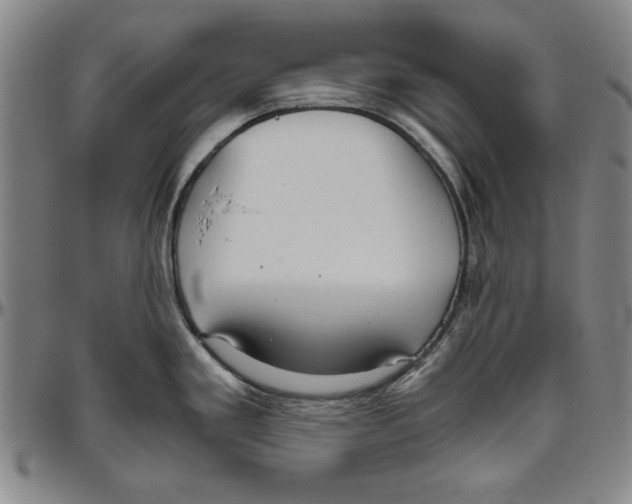 X0000096461293200802211117