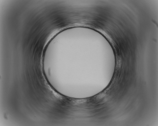 X0000096461294200802211117