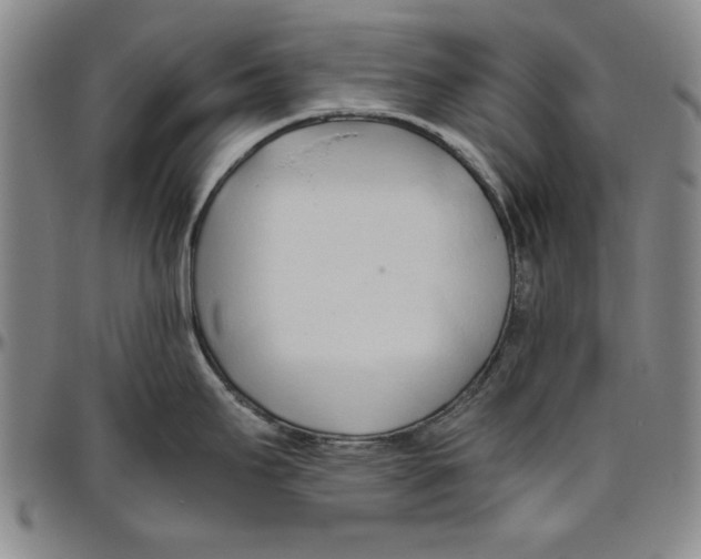 X0000096461295200802211116