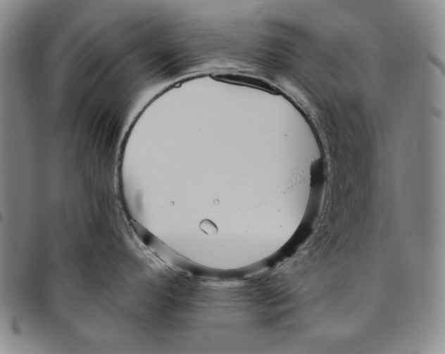 X0000096461296200802211116