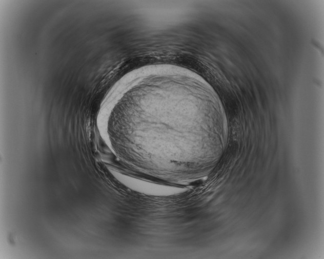X0000096461298200802211115