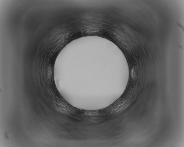 X0000096461299200802211116