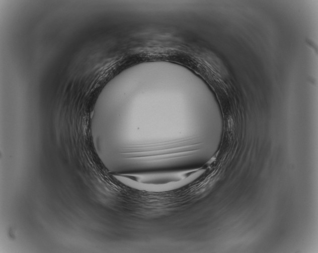 X0000096461300200802211116