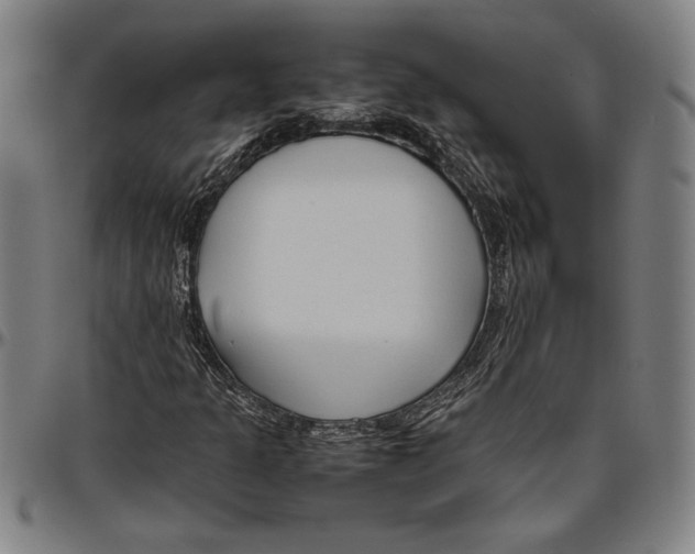 X0000096461301200802211116