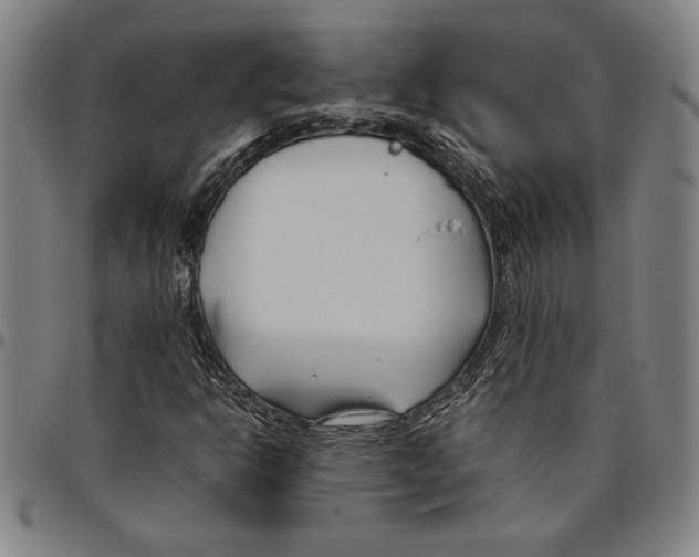 X0000096461302200802211116