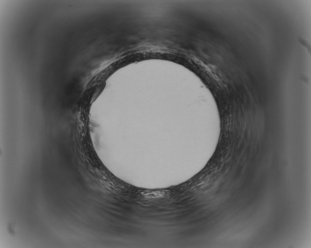 X0000096461303200802211116