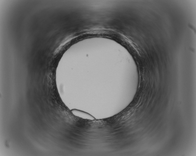 X0000096461304200802211116