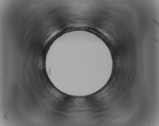 X0000096461306200802211116