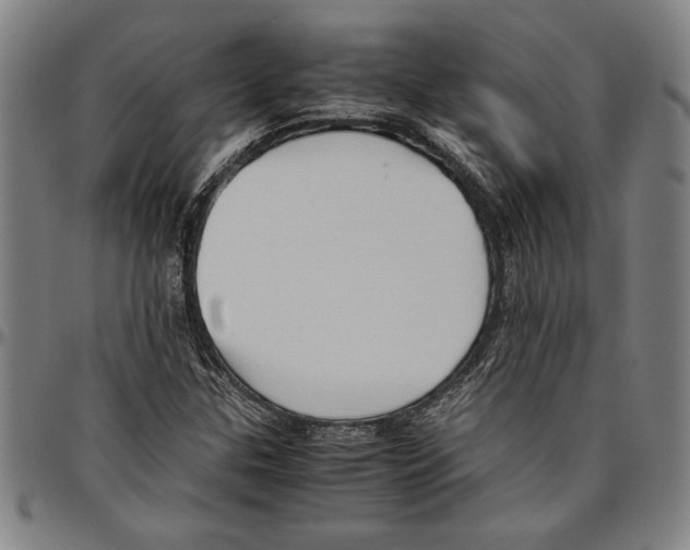 X0000096461307200802211116