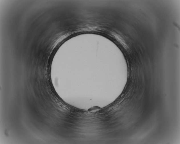 X0000096461308200802211116