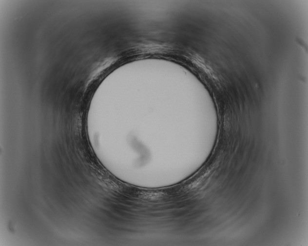 X0000096461309200802211116