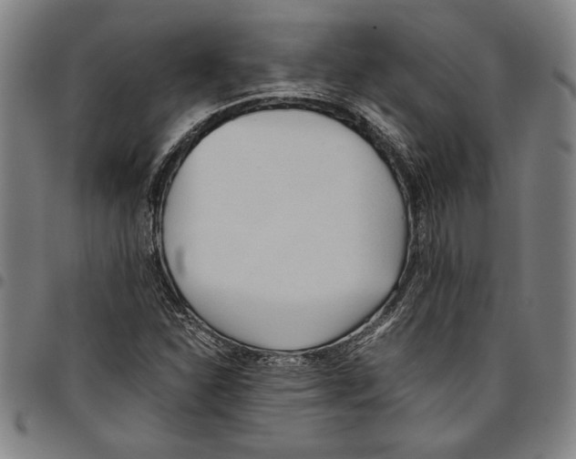 X0000096461310200802211116